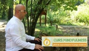 curs mindfulness