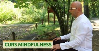 curs mindfulness online