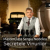 Masterclass Sergiu Nedelea