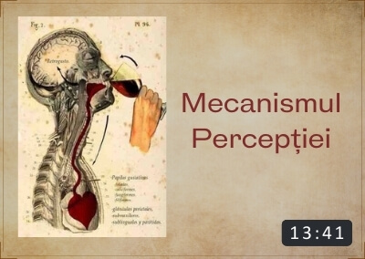 Mecanismul de perceptie al vinurilor