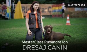 Curs Dresaj Canin