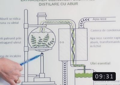 Metoda de obtinere a uleiului esential