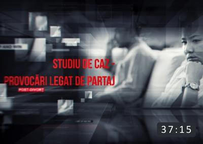 Studiu de caz Provocari legat de partaj