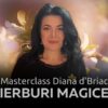 Masterclass Diana D briac