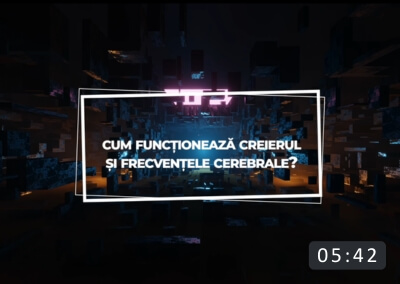 cum functioneaza creierul