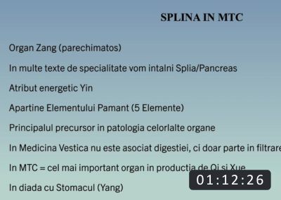 splina in MTC