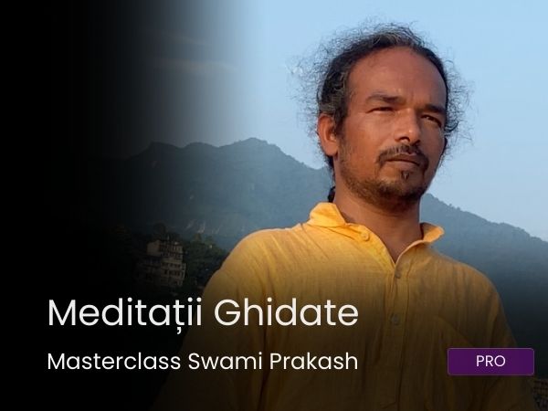 curs meditatii